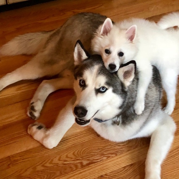 Meet your posher, Danielle! - Picture 5 of 5